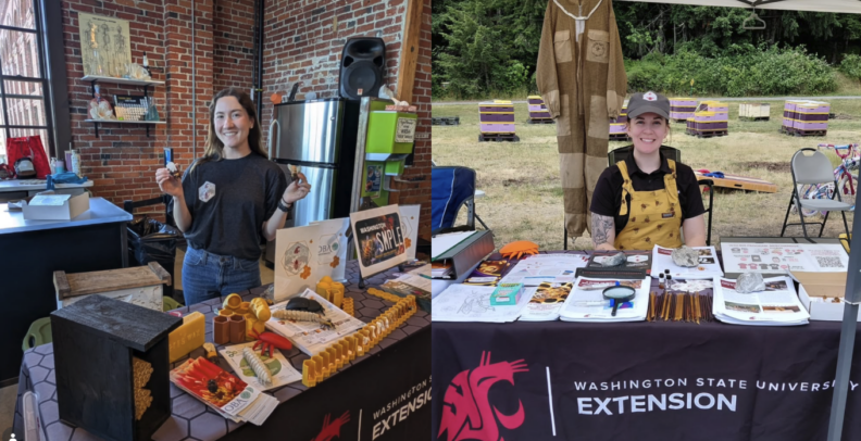 Allyson Martin, WSU Bee Program postdoctoral researcher at the Pollinator Day in Spokane, WA (left) and Bri Price, WSU Bee Program extension coordinator at the Pollinator Fun Fest in Centralia, WA (right) 